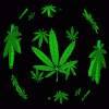 weedspin.gif