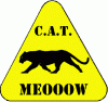 catmeoow_web.gif