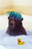 bearbath.jpg