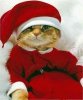 santa claws.jpg